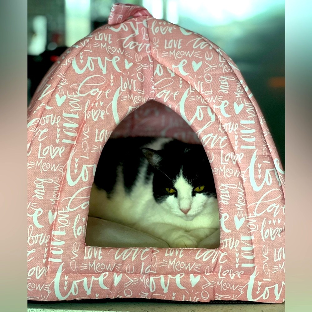 PINK CAVE SHAPE CAT BED